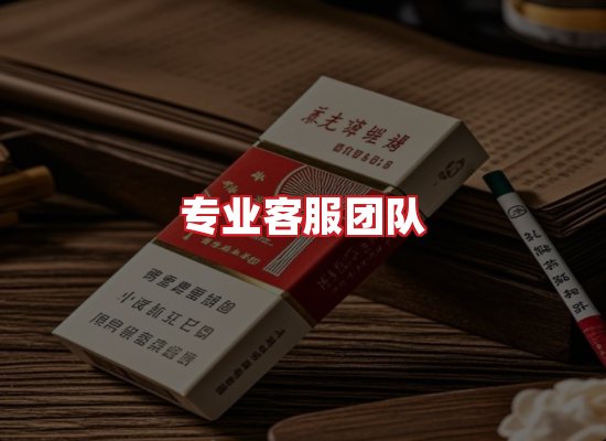 专业团队